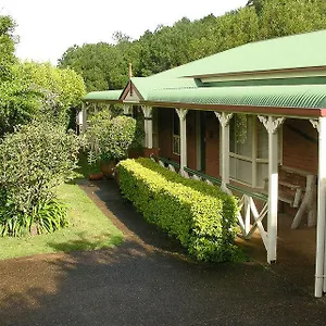 Apple Tree , Montville Australia